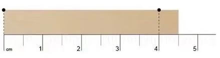 Step 3 Ring Measurement